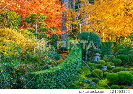 【京都風景】三千院、大原之裡的秋葉暖心 121663593