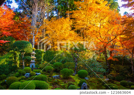 【京都風景】三千院、大原之裡的秋葉暖心 121663604