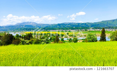 Iiyama City Nanohana Park (Spring) 121663707