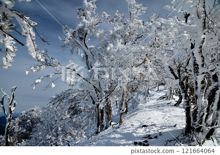 Snowy Mt. Takami mountain trail (near the summit) [Higashiyoshino Village, Nara Prefecture] 121664064