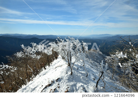 Rime-covered trees on Mt. Takamisan (mountain peak) [Higashiyoshino Village, Nara Prefecture] 121664096