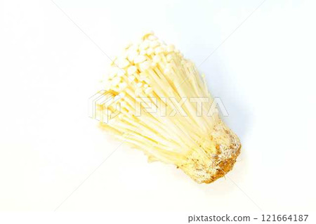 Enokitake mushroom, Enoki mushroom, Nametake mushroom, Namesuki mushroom, Saxifrage mushroom 121664187