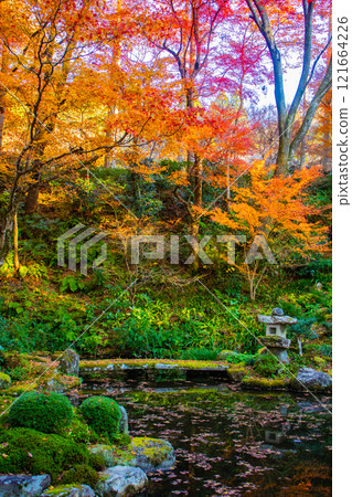 【京都風景】三千院、大原之裡的秋葉暖心 121664226
