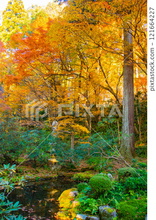 【京都風景】三千院、大原之裡的秋葉暖心 121664227