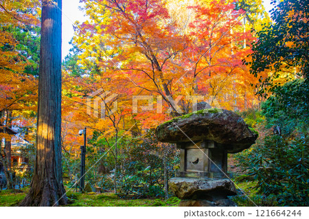 【京都風景】三千院、大原之裡的秋葉暖心 121664244