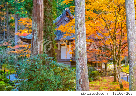 [Kyoto Scenery] Sanzen-in Temple - The autumn leaves of Ohara Village are a touching sight 121664263
