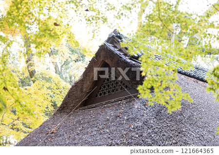 屋頂和秋葉 屋頂和秋葉 121664365