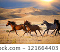 Horses galloping across the prairie 121664403