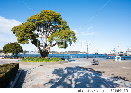 橫須賀、維爾尼公園 121664483