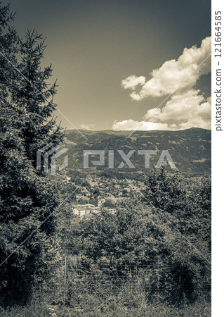 Wonderful wooded mountain alpine panorama with village and huts Austria. 121664585