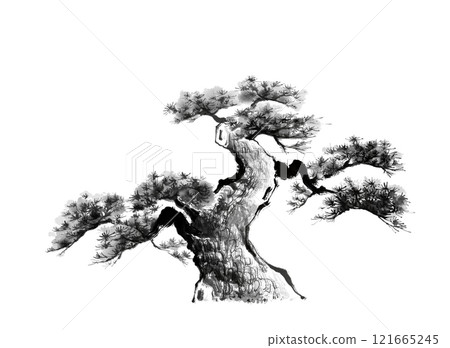 Hand-drawn ink painting of a pine tree (without background) Hand-drawn ink painting of a pine tree (without background) 121665245