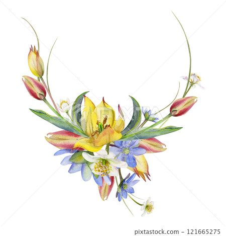 Spring flowers, white forest anemone primrose, grass, yellow and red tulip, blue hepatica forget-me-not, hand drawn in watercolor. Wreath garland illustration, for wedding, florist shop, stationery. 121665275