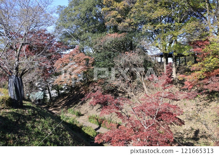 栃木縣佐野市佐野城遺址景觀 栃木縣佐野市佐野城遺址景觀 121665313