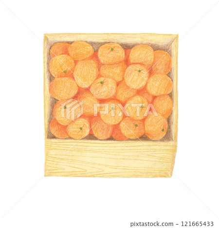 Illustration of mandarin oranges in a wooden box drawn with colored pencils 121665433