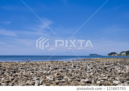 [鎌倉市] 退潮時的瓦開島 121665793