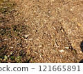 Wood chip 121665891