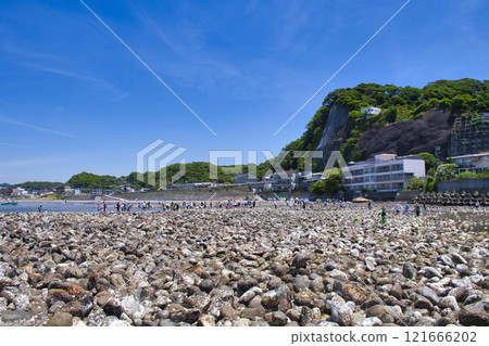 [Kamakura City] Wakaejima Island at low tide 121666202
