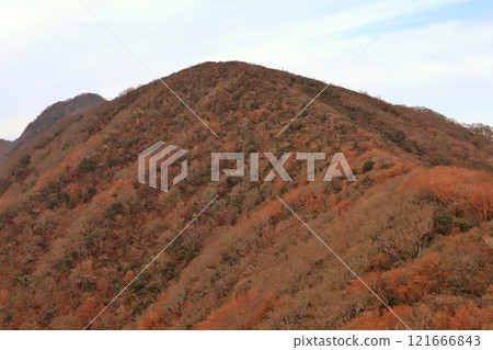 [靜岡縣]冬天的天城山_從山脊線眺望 121666843