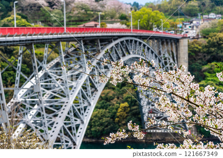 Cherry blossoms at Saikai Bridge [Sasebo City, Saikai City, Nagasaki Prefecture] 121667349