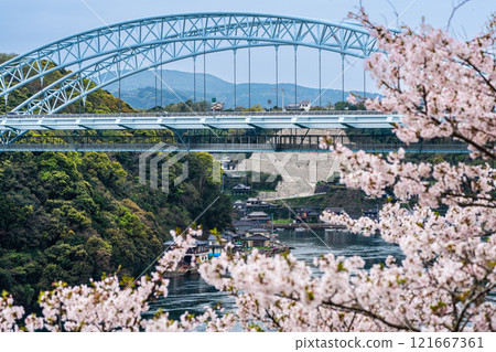 Cherry blossoms at Saikai Bridge [Sasebo City, Saikai City, Nagasaki Prefecture] 121667361