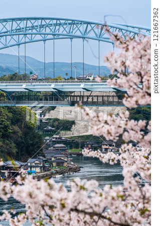 Cherry blossoms at Saikai Bridge [Sasebo City, Saikai City, Nagasaki Prefecture] 121667362