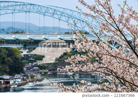 西海大橋的櫻花【長崎縣西海市佐世保市】 121667366