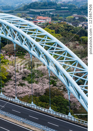 Cherry blossoms at Saikai Bridge [Sasebo City, Saikai City, Nagasaki Prefecture] 121667406