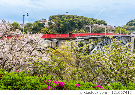 Cherry blossoms at Saikai Bridge [Sasebo City, Saikai City, Nagasaki Prefecture] 121667413