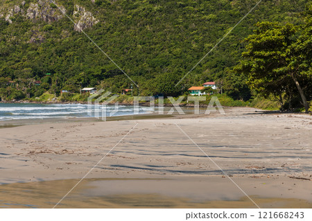 Coastline with beach and ocean with waves in Matadeiro Beach in Floripa 121668243