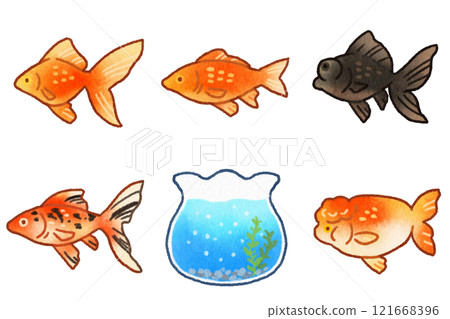 水彩風格金魚插圖集 水彩風格金魚插圖集 121668396