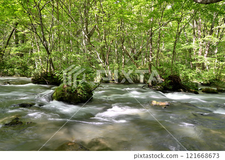The flow of the Oirase Gorge in Aomori Prefecture The flow of the Oirase Gorge in Aomori Prefecture 121668673