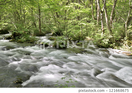 The flow of the Oirase Gorge in Aomori Prefecture 121668675