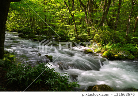 The flow of the Oirase Gorge in Aomori Prefecture The flow of the Oirase Gorge in Aomori Prefecture 121668676