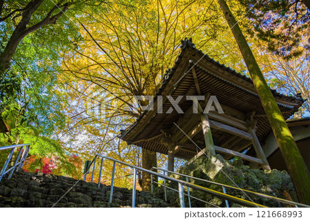 Shohoji Temple Bell Tower Ginkgo Tree Narutaniyama Shohoji Temple Famous for Autumn Leaves Inabe City Mie Prefecture 121668993