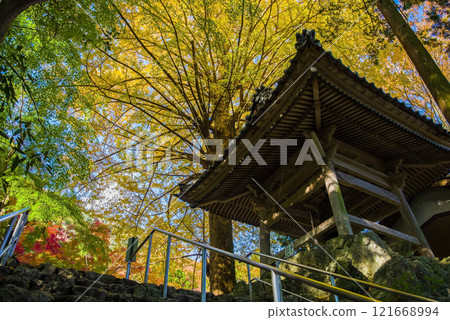 Shohoji Temple Bell Tower Ginkgo Tree Narutaniyama Shohoji Temple Famous for Autumn Leaves Inabe City Mie Prefecture 121668994