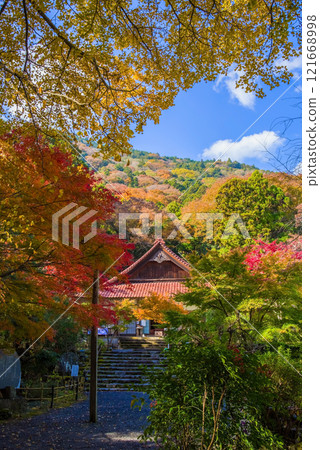 Shohoji Temple, Main Hall, Narutaniyama Shohoji Temple, famous for autumn leaves, Inabe City, Mie Prefecture 121668998