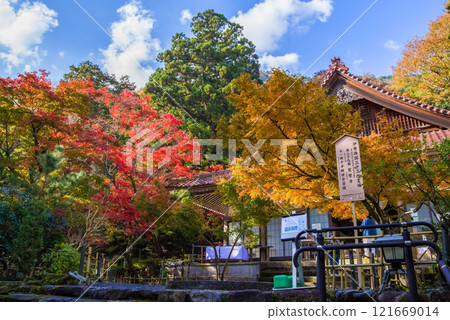 Shohoji Temple, Main Hall, Narutaniyama Shohoji Temple, famous for autumn leaves, Inabe City, Mie Prefecture 121669014
