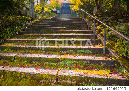 上正寺山門的紅葉【木曾郡奧輪村】 上正寺山門的紅葉【木曾郡奧輪村】 121669025