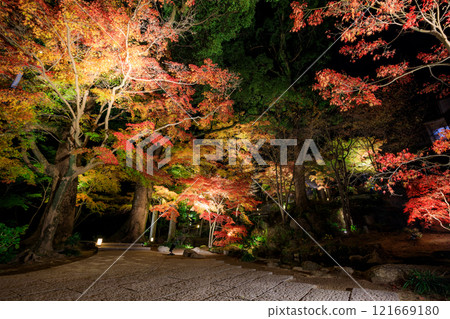 秋季燈火通明的寶滿宮,福岡縣太宰府市灶門神社 秋季燈火通明的寶滿宮,福岡縣太宰府市灶門神社 121669180