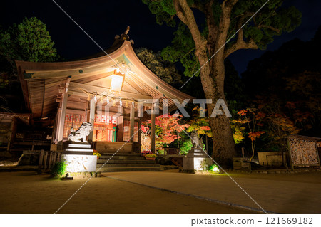 Illuminated autumn at Homangu Kamado Shrine, Dazaifu City, Fukuoka Prefecture Illuminated autumn at Homangu Kamado Shrine, Dazaifu City, Fukuoka Prefecture 121669182