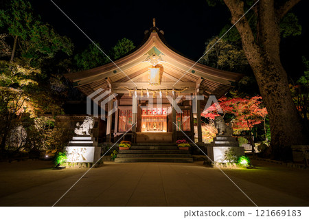 秋季燈火通明的寶滿宮，福岡縣太宰府市灶門神社 121669183