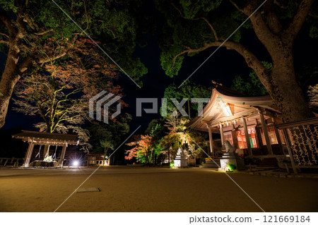 Illuminated autumn at Homangu Kamado Shrine, Dazaifu City, Fukuoka Prefecture 121669184