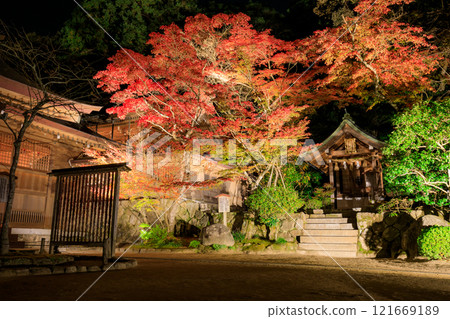 Illuminated autumn at Homangu Kamado Shrine, Dazaifu City, Fukuoka Prefecture 121669189