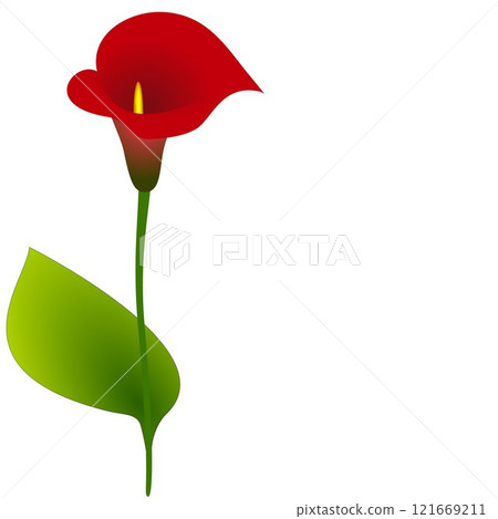 Background with calla, design element. 121669211