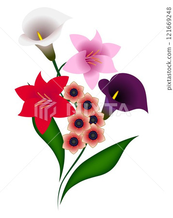 Bouquet of lily. 121669248