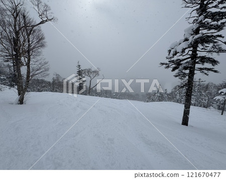 The slopes from the snow walking route at Grandeco Snow Resort in Fukushima Prefecture in December 2024 121670477