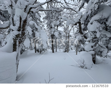 Snow walking route at Grandeco Snow Resort in Fukushima Prefecture in December 2024 121670510