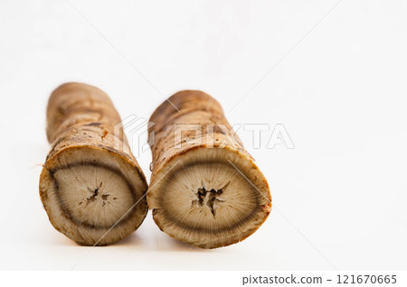 Burdock root 121670665