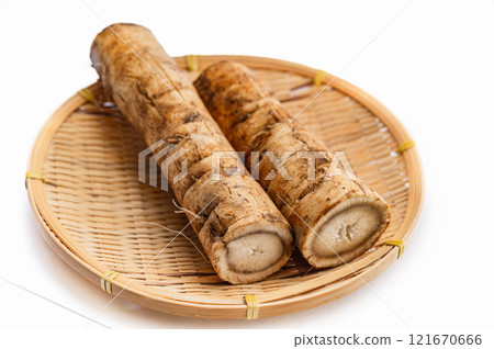 籃子裡的牛蒡 籃子裡的牛蒡 121670666