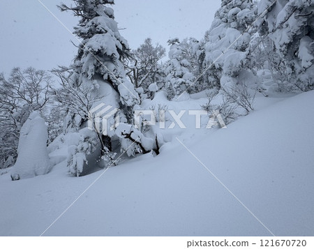 Snow walking route at Grandeco Snow Resort in Fukushima Prefecture in December 2024 121670720